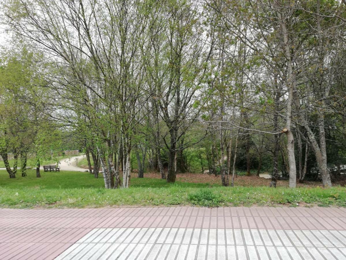 סיגוויירו Apartamento Sigueeiro Camino Ingles מראה חיצוני תמונה